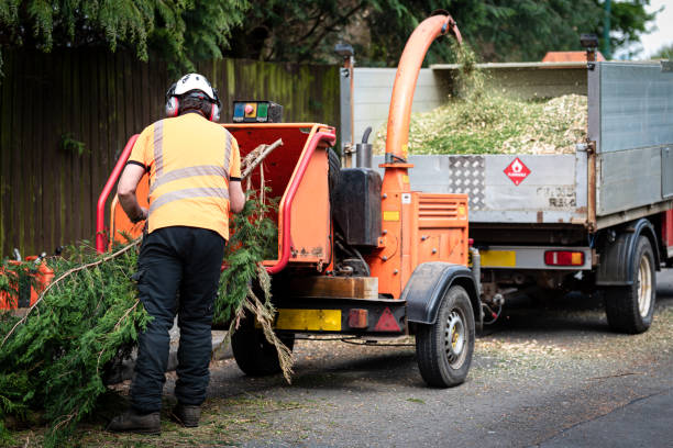 Best Seasonal Cleanup (Spring/Fall)  in Bowling Green, KY