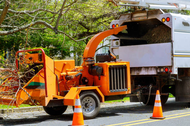 Mulching Services in Bowling Green, KY